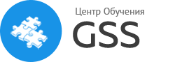 logo-gss-new
